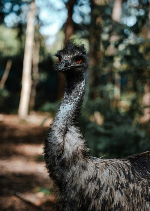 jamie-rochester-3WMq6tQppIU-unsplash
