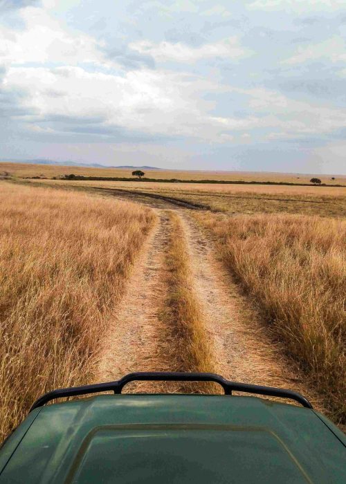 kenya-33long